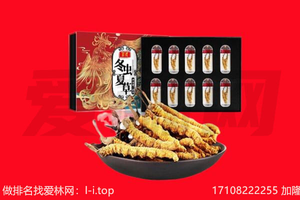 天津宁河区回收虫草.jpg